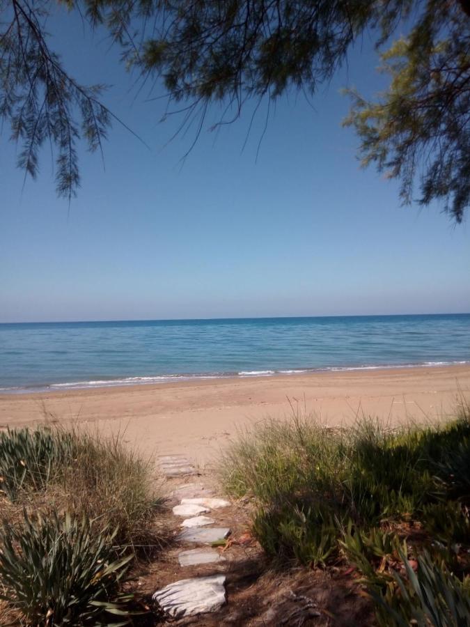 Hotel Διεθνές Zaháro Kültér fotó